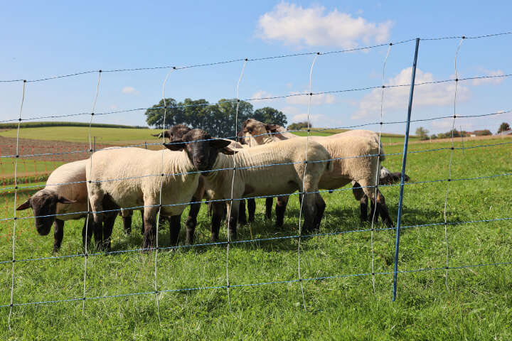 AKO Schafsnetz TitanNet Premium Vario